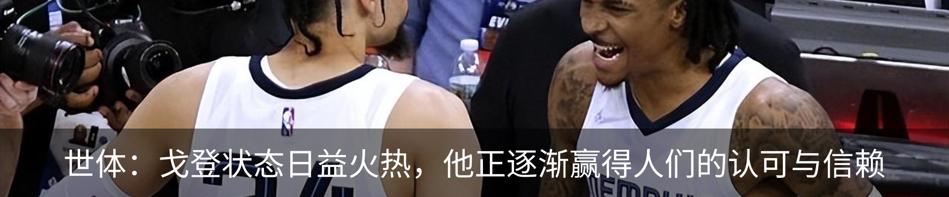 新闻动态