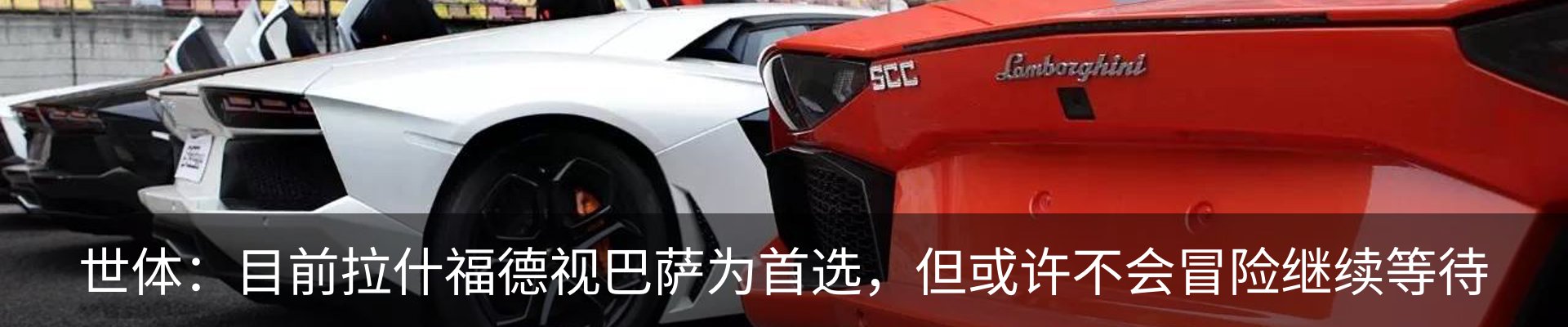 新闻动态