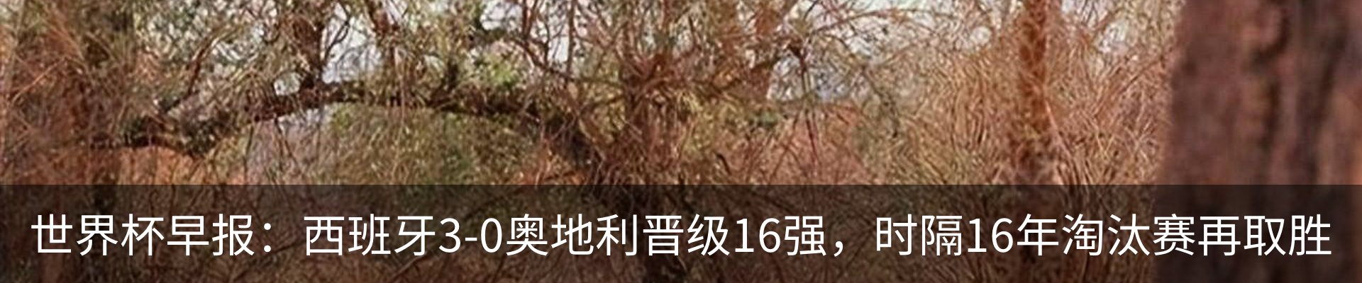 新闻动态