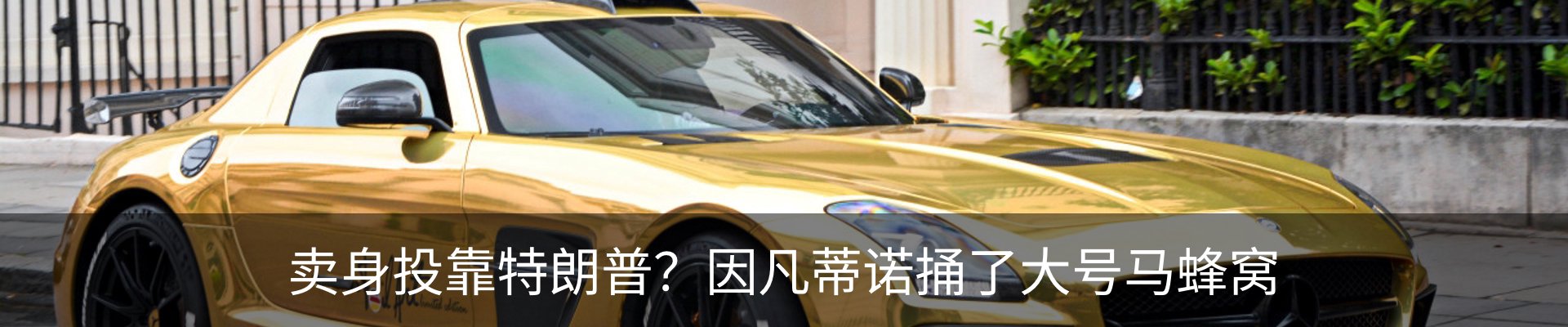 新闻动态