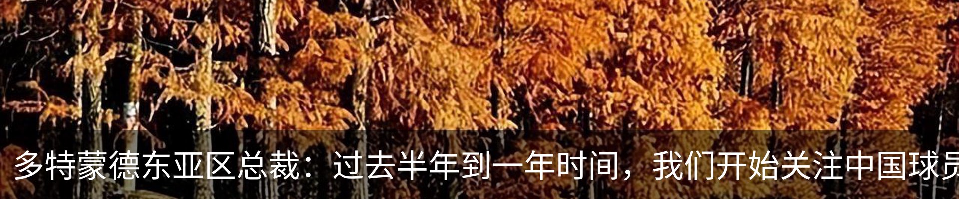 新闻动态