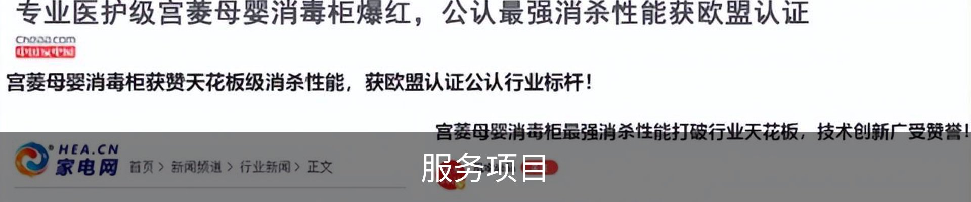 服务项目