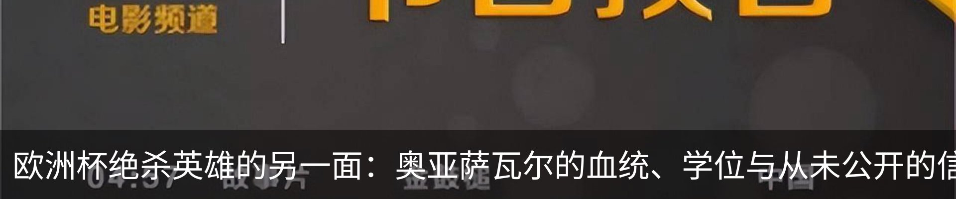新闻动态