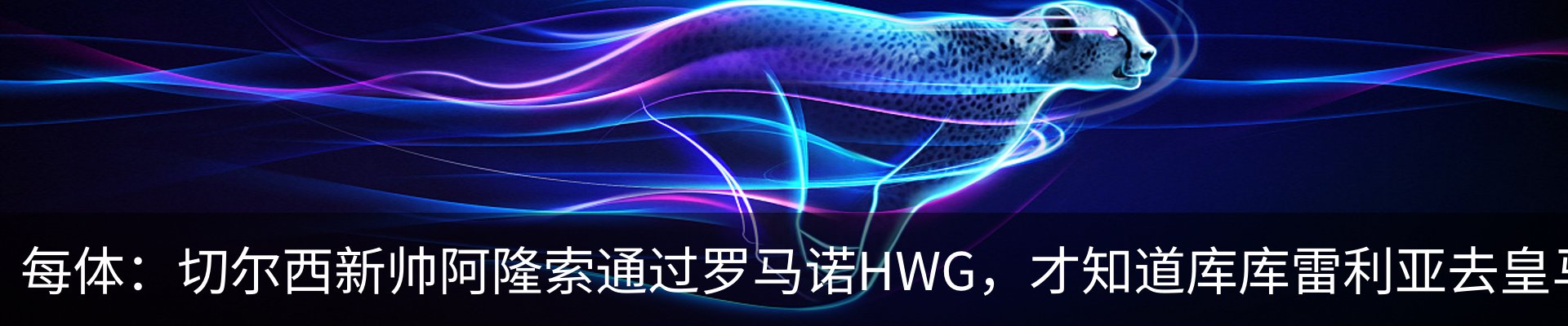新闻动态