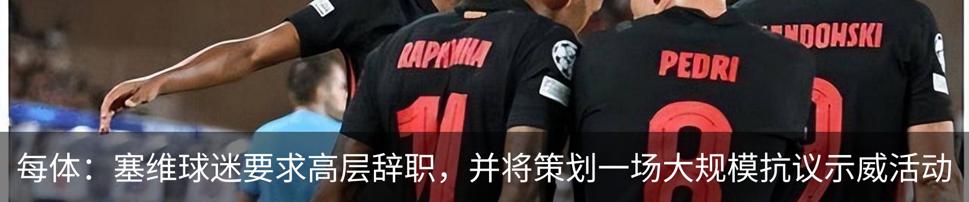新闻动态