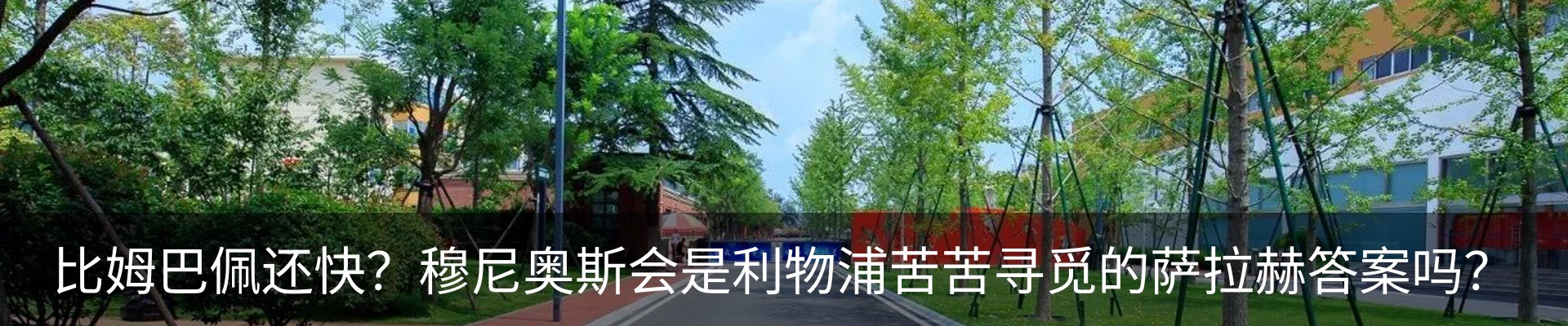 新闻动态