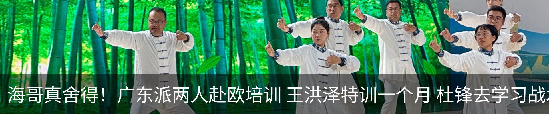 新闻动态