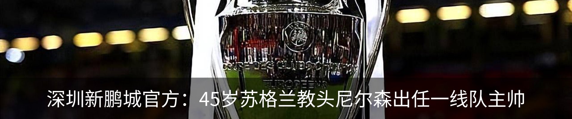 新闻动态