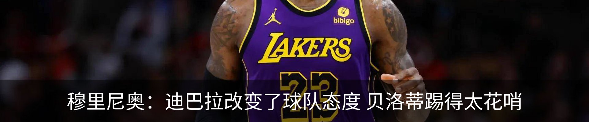 新闻动态