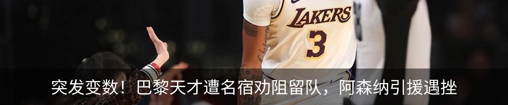 新闻动态