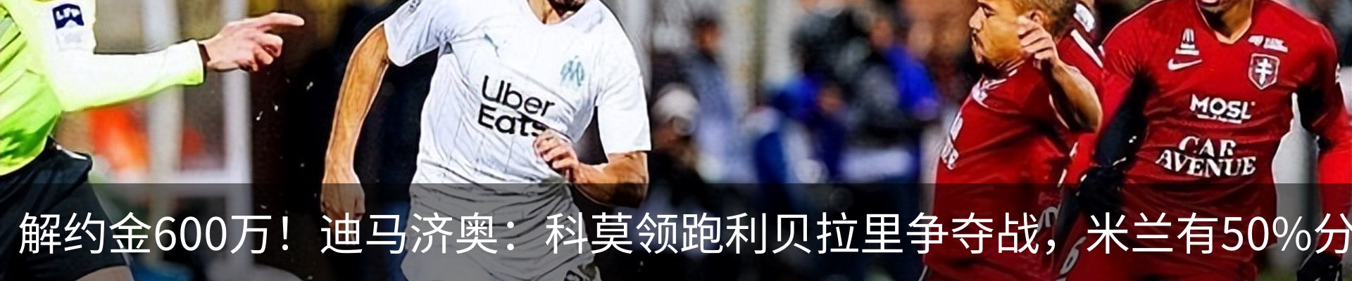 新闻动态