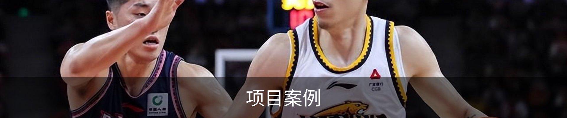 项目案例