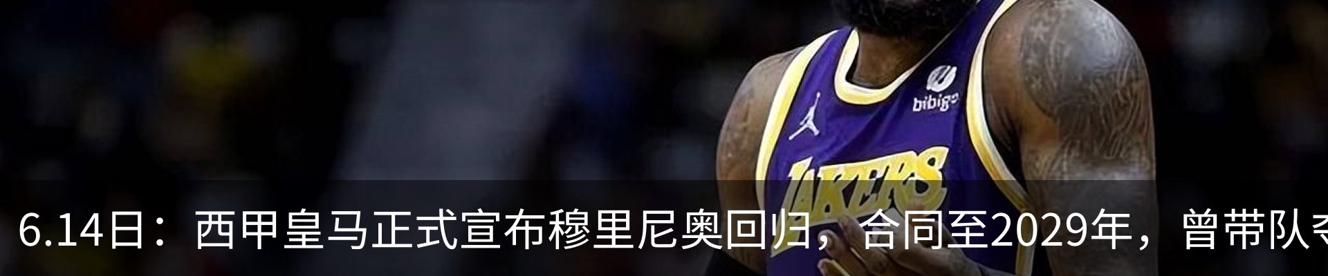 新闻动态